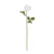 Single White Alice Rose 66cm (PES) Single White Alice Rose 66cm (PES)