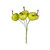 Apple Pick Bunch x 5 Green 2.5cm (Box of 6)