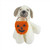 Felt Dog Holding Pumpkin Hanging Decoration - H10cm Felt Dog Holding Pumpkin Hanging Decoration - H10cm