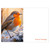 Large Card - Robin - Season's Greetings - Pk6