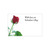 Small Card - With Love on Valentine's Day - Red Rose - Pk25
