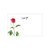 Small Card - Love you - Red Rose - Pk25