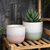 Hortus Bordeaux Stoneware Pot  - Pink (Dia 12 x H11cm)