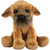 Sitting Small Border Terrier