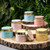 Celebration Candles - Mixed Pack French Vanilla Celebration Candles - Mixed Pack French Vanilla