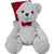Medium White Bear with Santa Hat