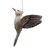 Humming Bird Ornament - 12cm Humming Bird Ornament - 12cm