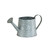 Flower Etched Watering Can