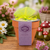 Meadowberry Terracotta Flower Pot with Foam Mushroom Sweets