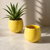 Lemon Ceramic for 6cm Succulent