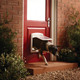 Staywell Petsafe Pet Door Flap Dogs White 740EF