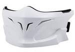 Scorpion Covert Front Face Mask