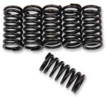 EBC CSK Clutch Spring Set (CSK9)