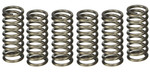 EBC CSK Clutch Spring Set (CSK14)