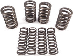 Andrews High Lift Valve Spring Kit (294150)
