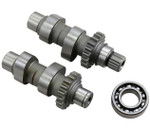 Andrews TW21 Camshafts for Chain Drive 1999-2006 Harley Twin Cams (288121)