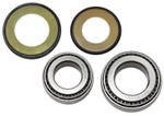 All Balls Steering Stem Bearing & Seal Kit (22-1004)