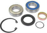 All Balls Chain Case Bearing & Seal Kit (14-1011)