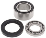 All Balls Chain Case Bearing & Seal Kit (14-1010)