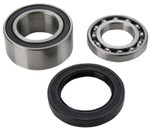 All Balls Chain Case Bearing & Seal Kit (14-1010)