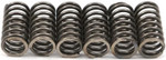 EBC CSK Clutch Spring Set (CSK84)