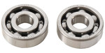Hot Rods Engine Counter Balancer Shaft Bearing Kit (BBK0018)