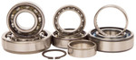 Hot Rods Transmission Bearing Kit (TBK0053)