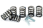 BBR Heavy Duty Auto Clutch Spring Kit '03-Present KLX110/DRZ110 (410-KLX-1105)