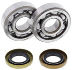 All Balls Crankshaft Bearing & Seal Kit (24-1102)