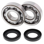 All Balls Crankshaft Bearing Kit (24-1011)