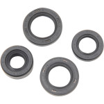 Moose Complete Engine Oil Seal Kit (0934-0156)
