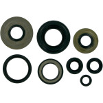 Moose Complete Engine Oil Seal Kit (M822155)