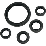 Moose Complete Engine Oil Seal Kit (0935-0393)