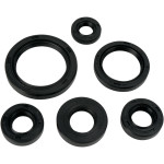 Moose Complete Engine Oil Seal Kit (0935-0379)