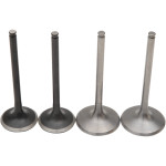 Moose Pro Valve Kit Titanium/Stainless (0926-2584)