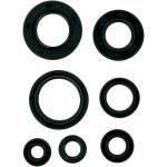 Moose Complete Engine Oil Seal Kit (M822153)