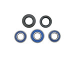 Moose Wheel Bearing & Seal Kit (A25-1066)