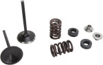 Moose Stainless Intake Valve & Spring Kit (0926-2732)