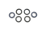 Moose Wheel Bearing & Seal Kit (A25-1019)