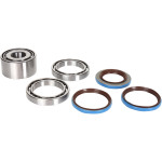 Moose Rear Differential Bearing & Seal Kit (1205-0255)