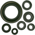 Moose Complete Engine Oil Seal Kit (0935-0394)