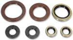Moose Complete Engine Oil Seal Kit (0935-0948)