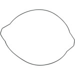 Moose Outer Clutch Cover Gasket (M817685)