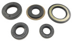 Moose Complete Engine Oil Seal Kit (0935-1022)