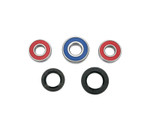 Moose Wheel Bearing & Seal Kit (A25-1230)