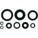Moose Complete Engine Oil Seal Kit (M822114)