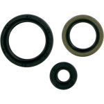 Moose Complete Engine Oil Seal Kit (M822143)