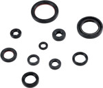 Moose Complete Engine Oil Seal Kit (0935-1025)