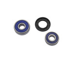 Moose Wheel Bearing & Seal Kit (A25-1191)