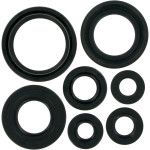 Moose Complete Engine Oil Seal Kit (0934-0172)